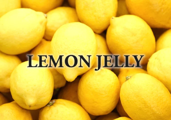 A Lemon Jelly é orgulhosamente uma marca portuguesa de calçado vegan, aprovada pela PETA. Uma marca consciente que se preocupa com o futuro!