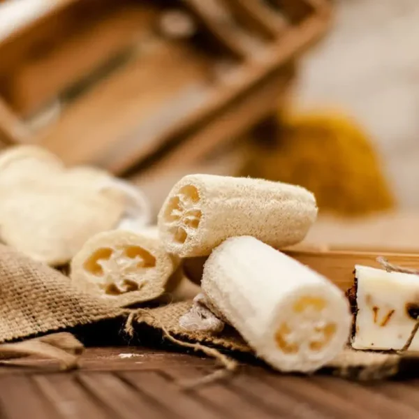 A luffa é uma planta trepadeira anual. A esponja é a parte interna fibrosa da fruta que pode ser usada quando seca, sendo completamente compostável.