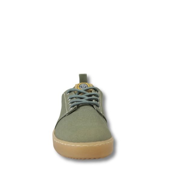 Citizen Kaki - Image 4